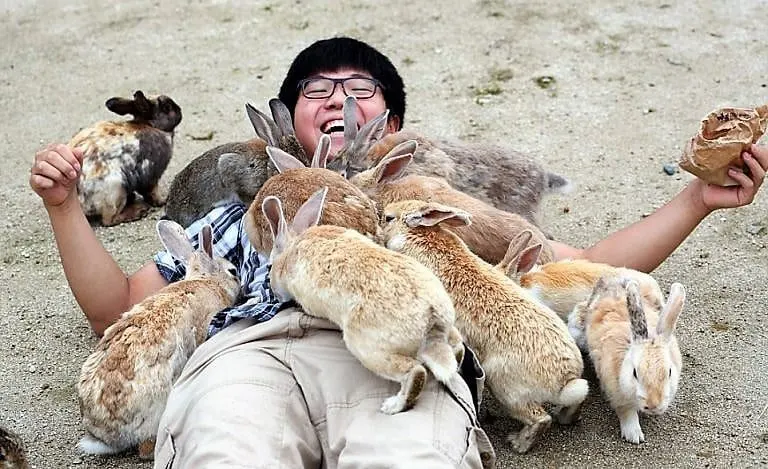 Bunny Island and Other Awesome Japanese Attractions for Animal Lovers