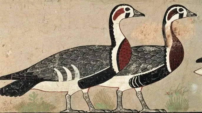 Egyptians kept many animals as pets