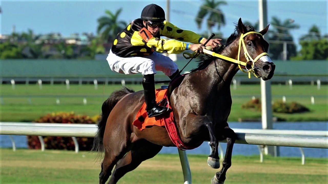 Kenny Mayne, Is Fallen Leaf The Worst Horse Racing Beat Of All-Time