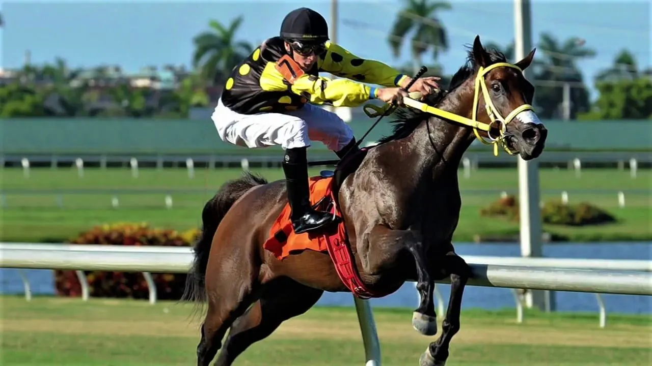 Kenny Mayne, Is Fallen Leaf The Worst Horse Racing Beat Of All-Time