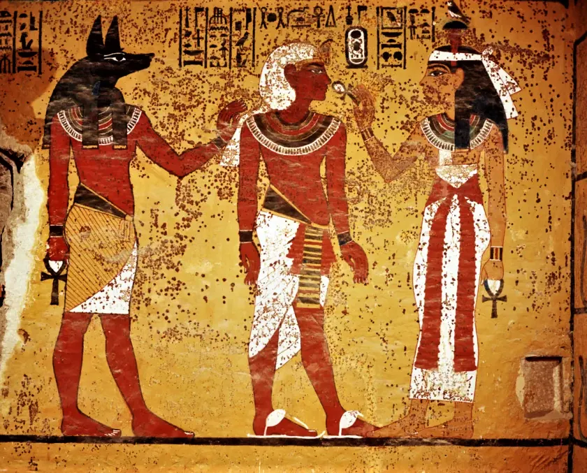 King Tut may have been killed by a hippopotamus