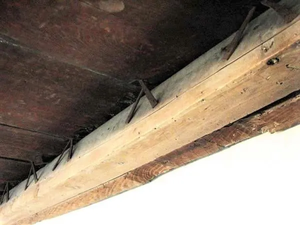 Nightingale floors use nails to make a chirping sound