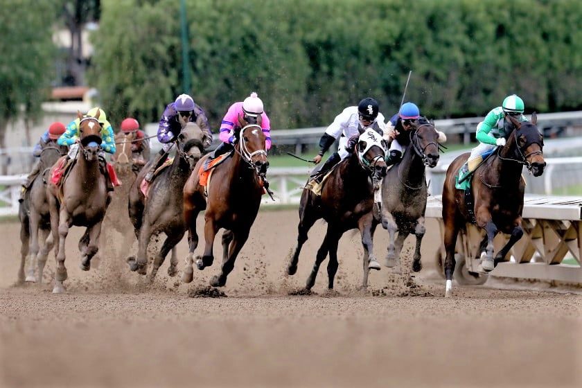 Santa Anita suffers 14th horse racing death this season