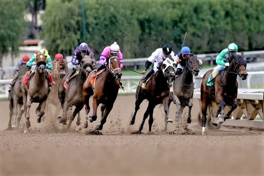 Santa Anita suffers 14th horse racing death this season