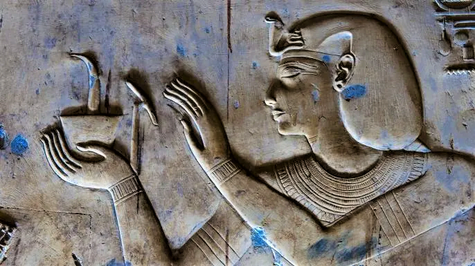 Some Egyptian doctors had specialized fields of study