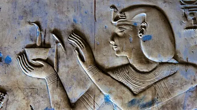 Some Egyptian doctors had specialized fields of study