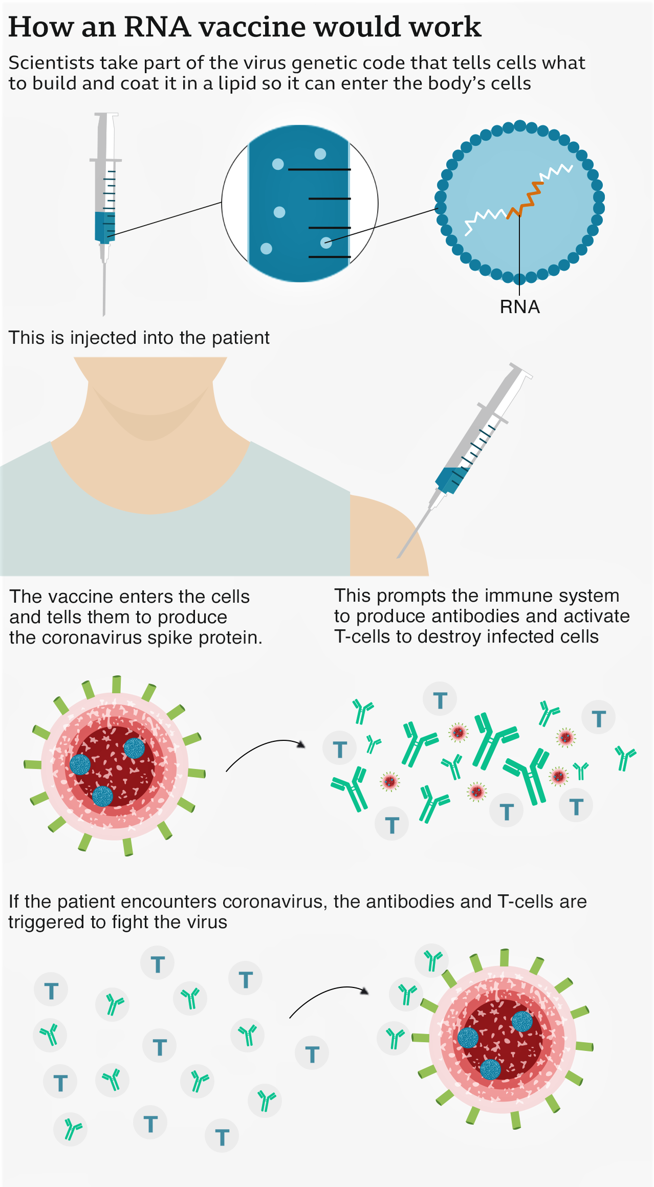 how coronavirus affects the human being