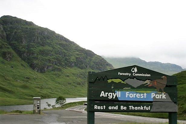 Argyll Forest Park road, Be Safe and Drive Carefully