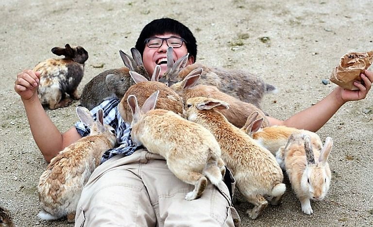 Bunny Island and Other Awesome Japanese Attractions for Animal Lovers