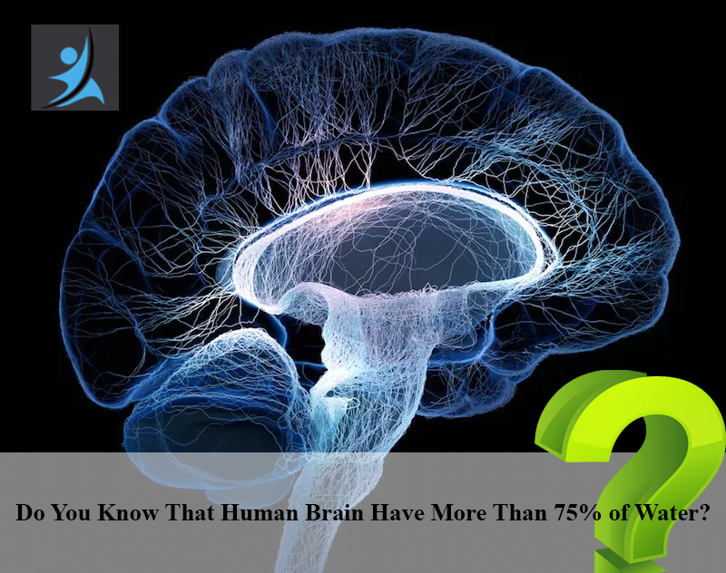 Do You Know That Human Brain have more than 75% of water