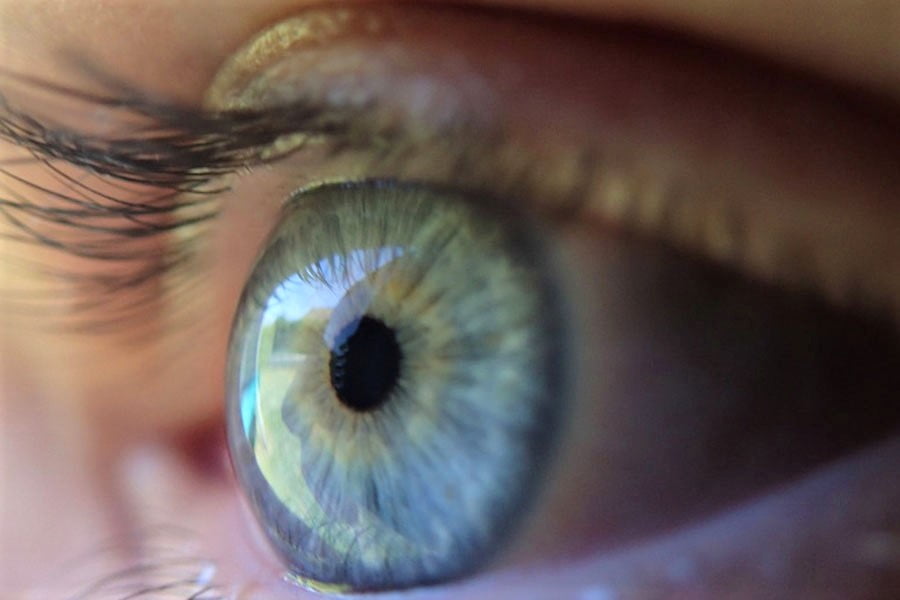 Eyes are connected with the brain so, the brain turn right the image and we see that image