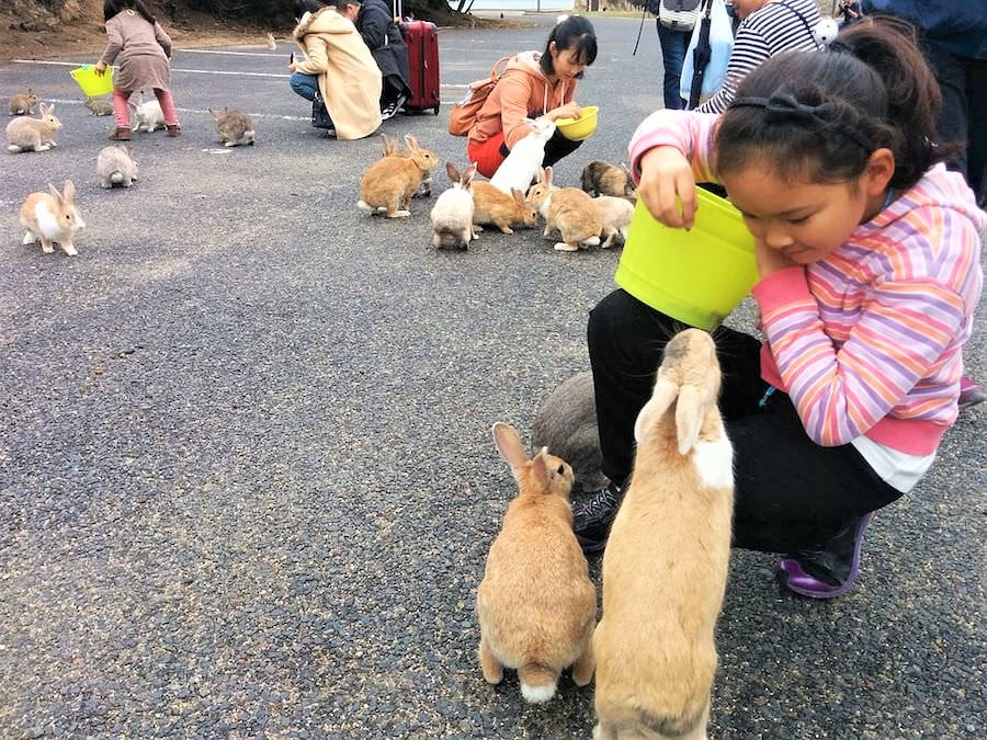 Kids feed bunnies on Okunoshima island, but this island have a dark history
