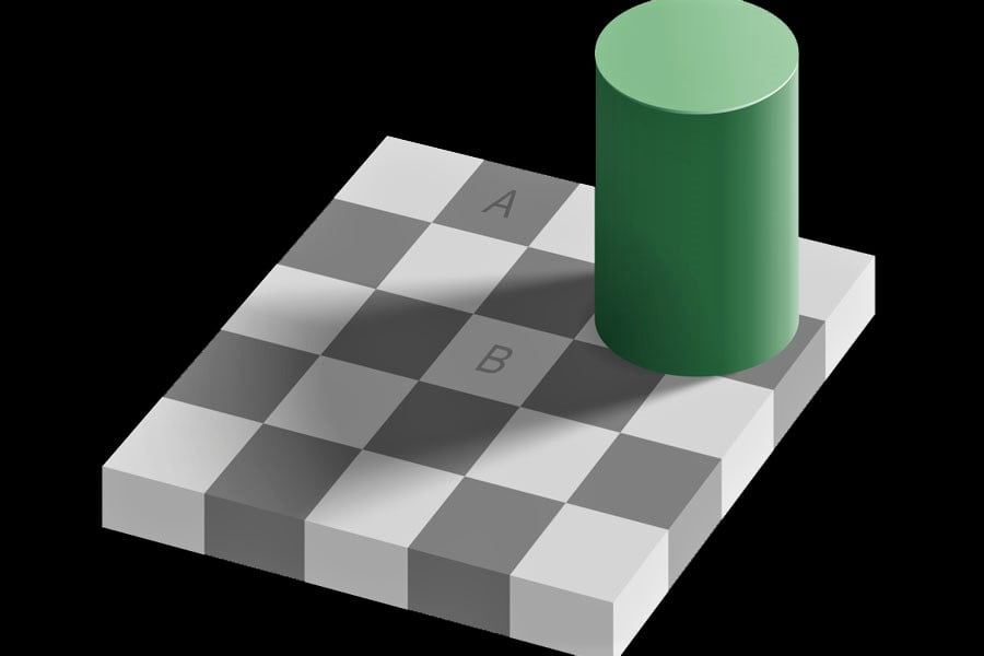 They Show That Color is Subjective of the checkerboard illusion